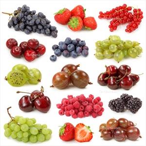 تصویر با کیفیت از میوه های تابستانی به صورت جدا